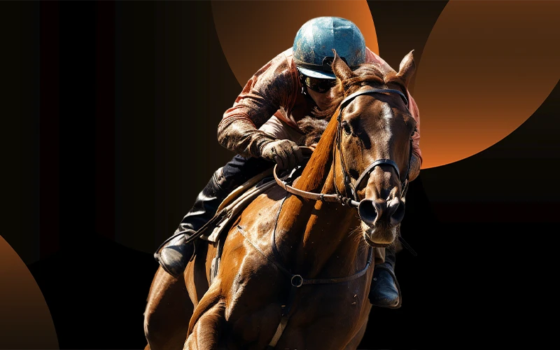 Bet on the best horse at FairPlay bookmaker and win big.